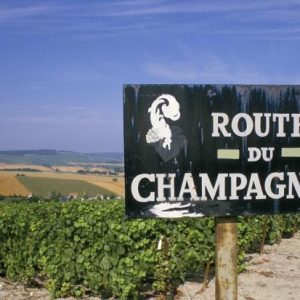 Champagne Lovers Trip To Reims - ON HOLD